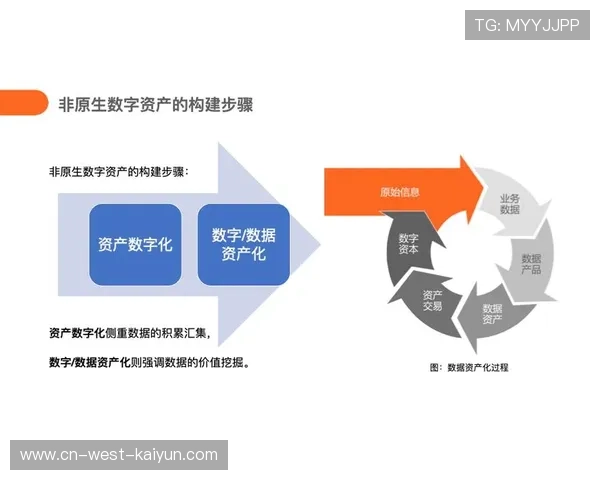 体育数字资产租赁模式试点运行，拓展使用方式