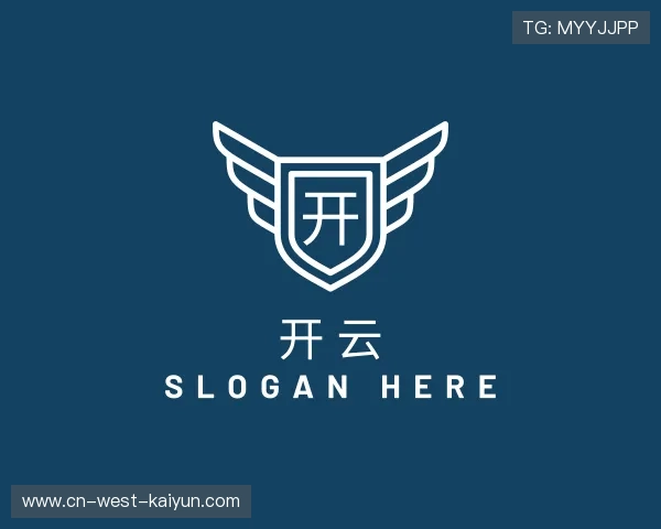 认识开云团队